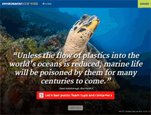 Tablet Screenshot of environmentnewyork.org